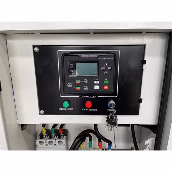 100kVA 80kw Arranque eléctrico Grupo electrógeno diésel insonorizado con motor